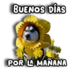 Perritos Husky 🐺💬 24