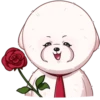 Linda Mascota💞1🇵🇪Clásica 26