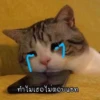 Thai Meme Sticker V2 27