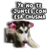 Perritos Husky 🐺💬 25