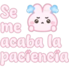 Conejito pink 🐰🩷 25