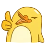 Duke-duck 8