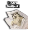 Perritos Husky 🐺💬 26