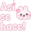 Conejito pink 🐰🩷 26