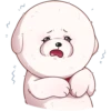 Linda Mascota💞1🇵🇪Clásica 28