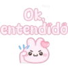 Conejito pink 🐰🩷 27