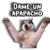 Perritos Husky 🐺💬 27