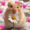 💞💖 AMOR 6 💖💞 20
