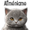 Gatito gris 🐈‍⬛🩶 23