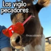 Memes de Animales🪴⭐ 15