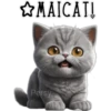 Gatito gris 🐈‍⬛🩶 24