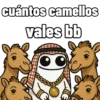Flork árabe 😎💼 19
