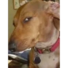 Bombastic side eye 10