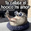Memes de Animales🪴⭐ 16