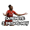Toluca FC momazos 22