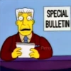 The Simpsons 26