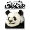 Panda B&W🖤🐼🤍 26