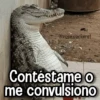 Memes de Animales🪴⭐ 17