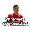 Toluca FC momazos 25