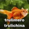 AI Brainrot Animals (w/ text) 22