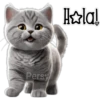 Gatito gris 🐈‍⬛🩶 26