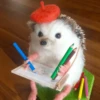 🦔 ERIZO MOODS 🦔 13