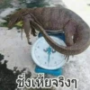 Thai Meme Sticker - V1 27