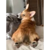 Bombastic side eye 11