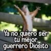 Memes de Animales🪴⭐ 18