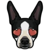 Roxy 5
