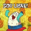 SOY LIBRE! Persy