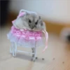 Persy