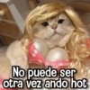 Memes de Animales🪴⭐ 19
