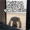 Quisiera olvidar lo que he visto Persy
