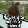 Memes de Animales🪴⭐ 20