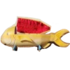 FRIENDLYGROB 5
