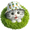 Gato bebé💞4🇵🇪Clásica 7