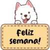 Perrito cartel 🐶 8