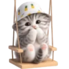 Gato bebé💞4🇵🇪Clásica 8