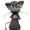 Rata Triste-Memes 2🐭🥹✨ 6