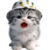 Gato bebé💞4🇵🇪Clásica 10