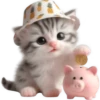 Gato bebé💞4🇵🇪Clásica 11