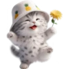 Gato bebé💞4🇵🇪Clásica 12
