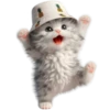 Gato bebé💞4🇵🇪Clásica 13