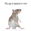 mood 10