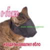 mood 11