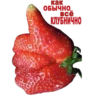 Open 5
