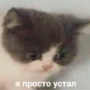 mood 12