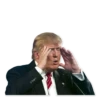 Donald Trump’d 8