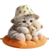 Gato bebé💞4🇵🇪Clásica 14